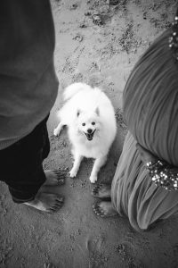 outdoor pet photography sessions - a small white dog standing next to two people
